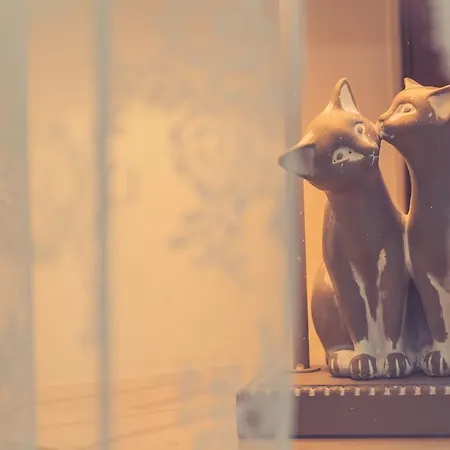 Lubelski Rynek דירה